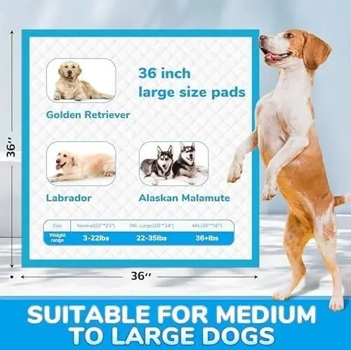 120 Count Extra Large 36"x36" Super Absorbent Dog Training Pads - Leak-Proof -  JOINPADS