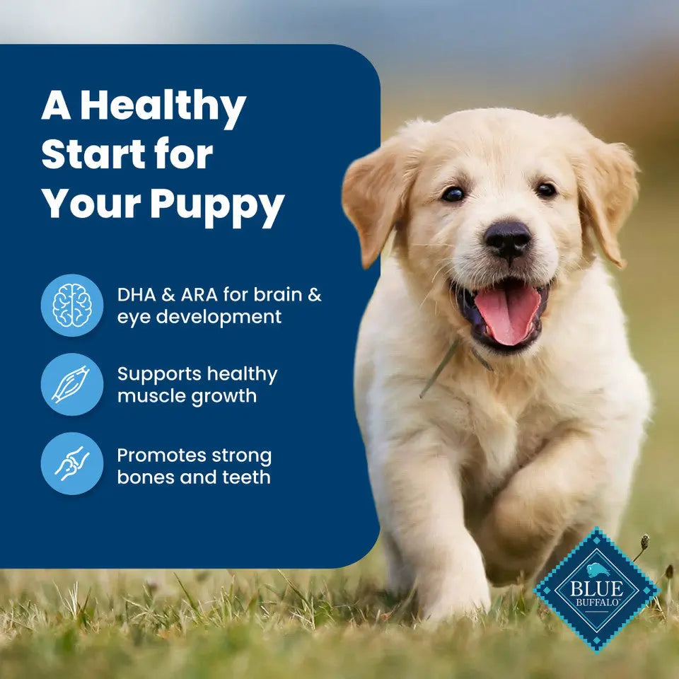 Blue Buffalo Life Protection Formula Chicken & Brown Rice Puppy Dry Dog Food -  BLUE BUFFALO